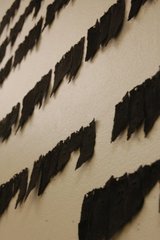 Paper Kadish,Meryl Pataky