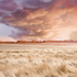 Sunset_final_sample
