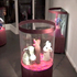 Snapshot_2010-01-08_15-13-04