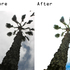 Beforandafter-3