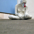 Blog-lily02
