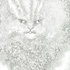 Cjs_cat