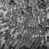 05roni_feldmantactile_crescendo-light