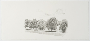 Newville_ave-1860_lower_res