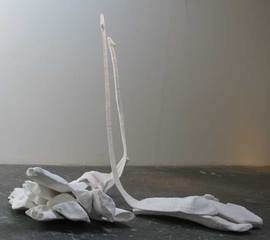 Swans,Lisa Segal