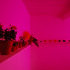 Samplant3