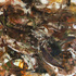 Effectwarm_brownorange_fw