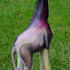 G01