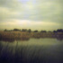 Sunsetoverthemarsh