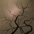 Slow_burn