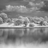Infrared