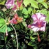 Craigkrullgallery-1