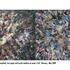 2scrapworm_wrennnebulae_copy