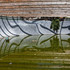 6_greenpool