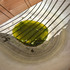 7_yellowpool