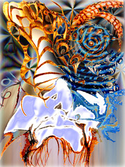 Untitled-1