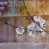 6sheildtheelementsdetail