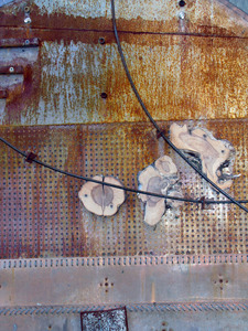 6sheildtheelementsdetail