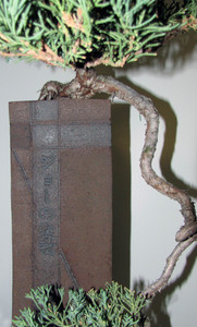 13ceramicbonsaipot