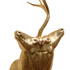 Golden5ocularunihorn