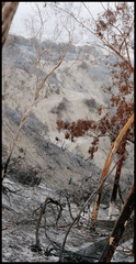 802 Acres,Stephen Callis