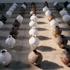 Mahjong_aiweiwei_whitewash