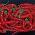 Antakya_peppers_120x200cm_2009