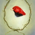 Lisa_adams_red_bird