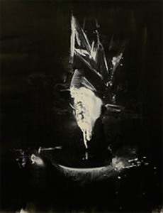 Lt_2009_11_200
