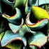Untitled_1