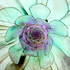 Untitled_4