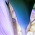 Untitled_5