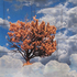 Rooted_in_fantasy