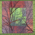 Green_sonata