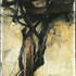 Wisteria_vine