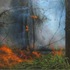 Controlledburn1