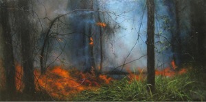 Controlledburn1