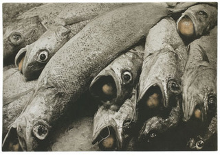 Fish Balls    ,Karl Koenig