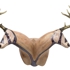 2headedunihorn