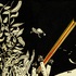 20120909044141-depths_final_web