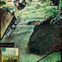 20120909082033-tzm_activist_final_web
