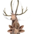7horned6auditorymerged