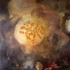 20110901230304-f23_