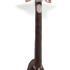 Brownwhitestrechneck