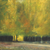 Richard_corbett_golden_walk__hampstead