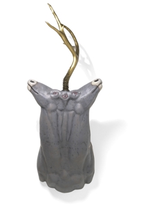 Gray5ocularunihorn