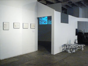Decoy9