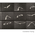 Muybridge_banner_right