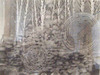 Lamp_2-searches