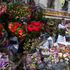 France-09-269